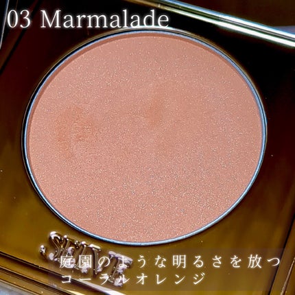 フォギーヴェールブラッシャー/SELVE/パウダーチークを使ったクチコミ(5枚目)