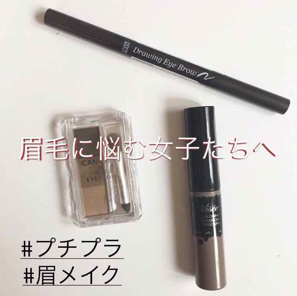 リシェ カラーリング アイブロウマスカラ/Visée/眉マスカラを使ったクチコミ（1枚目）