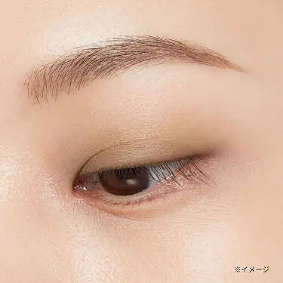 エテュセ アイエディション(カラーパレット) 05 オリーブブラウン