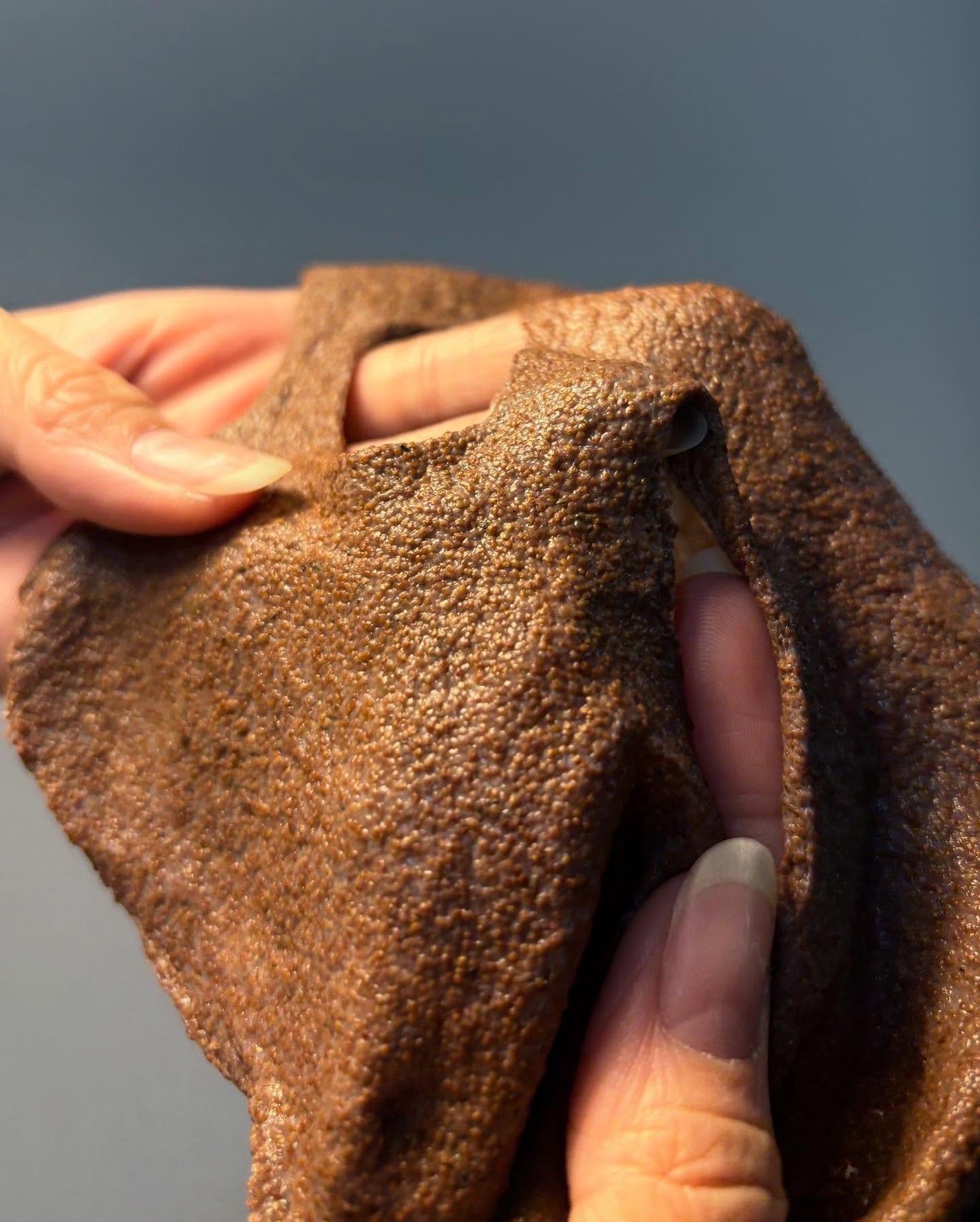 パウダークールモイスチャーパック 海藻モデリングパック/COSEUL/シートマスク・パックを使ったクチコミ(9枚目)