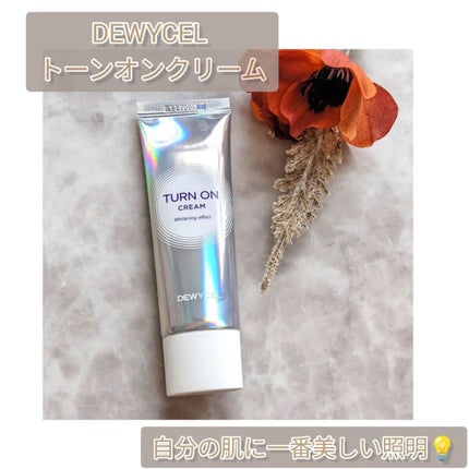 デュイセル ターンオンクリーム/DEWYCEL/フェイスクリームを使ったクチコミ(1枚目)