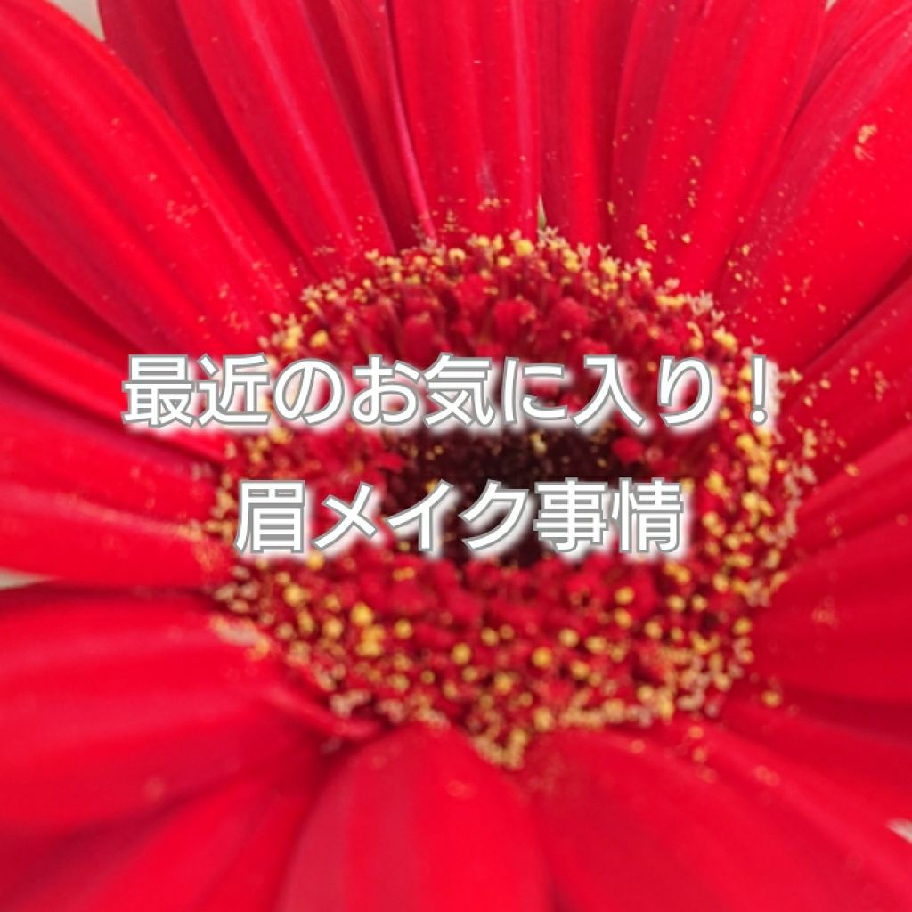 エアリー アイブロウ マスカラ/Elégance/眉マスカラを使ったクチコミ（1枚目）