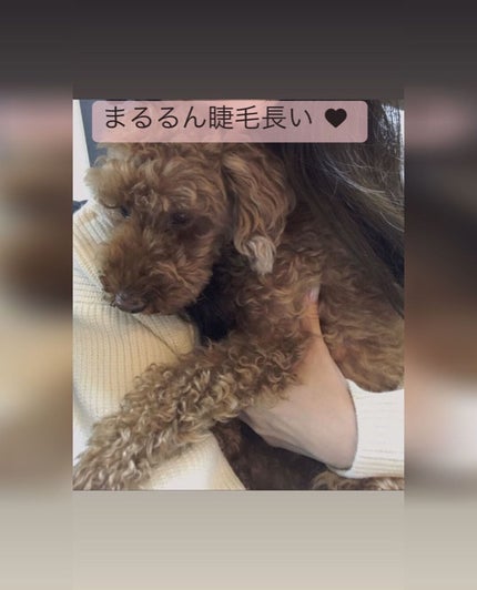 natsuki on LIPS 「さっきの投稿に続き♥makeした自撮りの顔はこんな感じでっす(..」(5枚目)