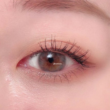 Devoted Kristin/Hapa kristin/カラーコンタクトレンズを使ったクチコミ(4枚目)