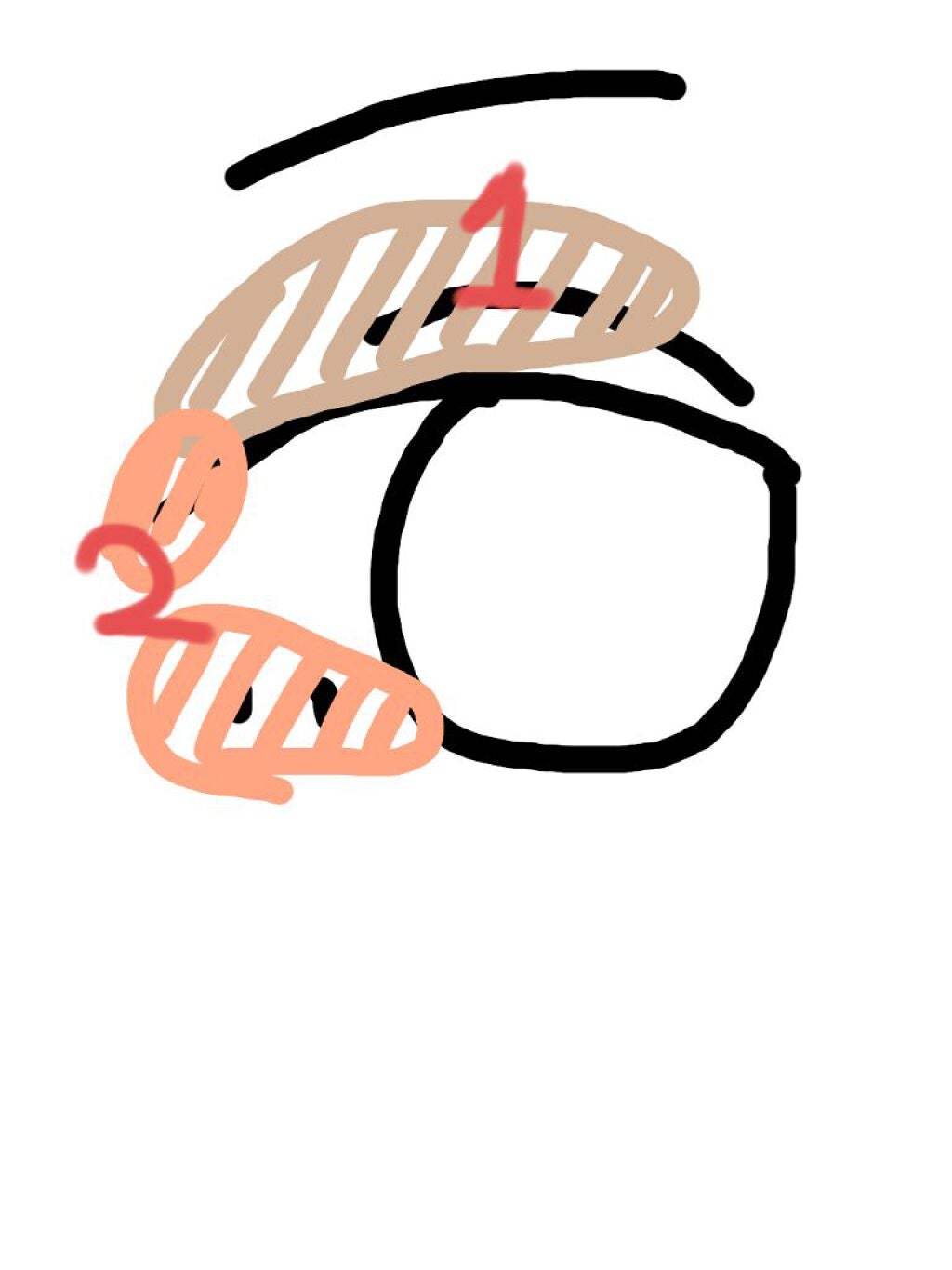 ビューラー/セリア/ビューラーを使ったクチコミ(3枚目)