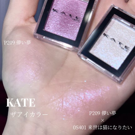 ケイト ザ アイカラー/KATE/単色アイシャドウを使ったクチコミ(2枚目)