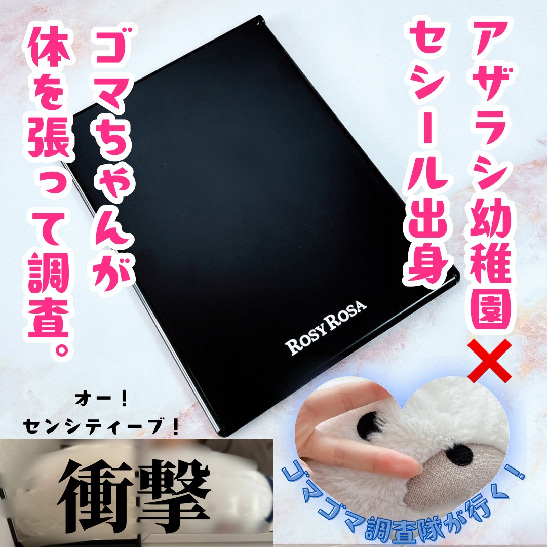 リアルックミラー/ロージーローザ/その他化粧小物を使ったクチコミ（1枚目）