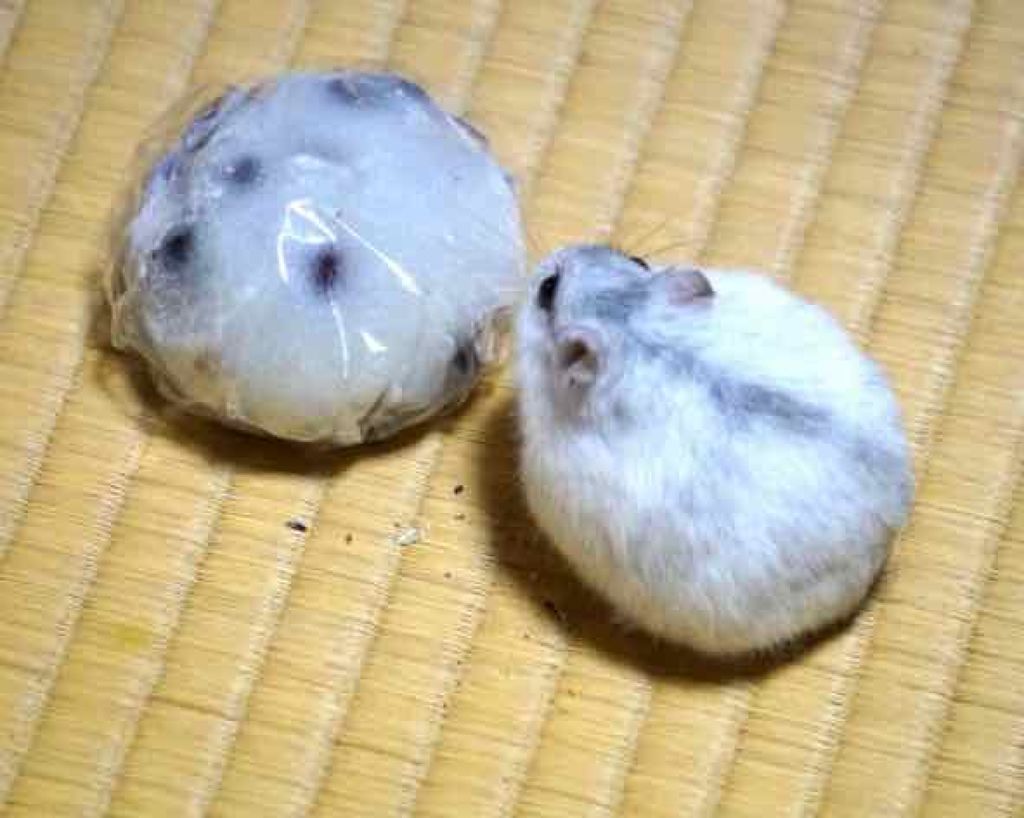 エリクシール シュペリエル リフトモイスト ローション W I/エリクシール/化粧水を使ったクチコミ（3枚目）