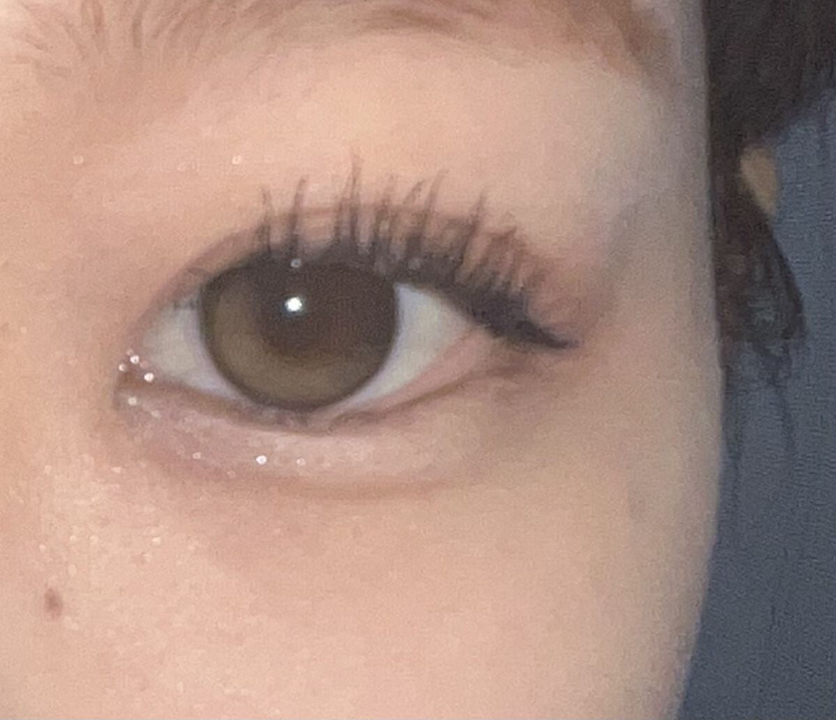 Secretive Kristen 1day クリームブラウン/Hapa kristin/ワンデー（１DAY）カラコンを使ったクチコミ（2枚目）