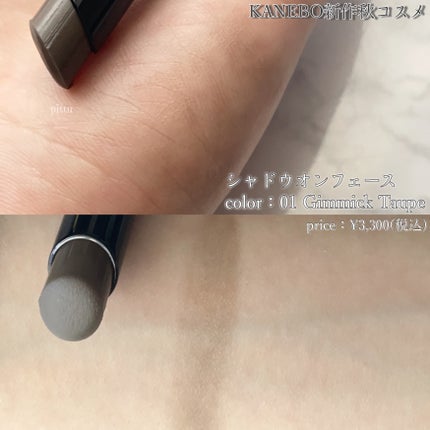 カネボウ Nールージュ/KANEBO/口紅を使ったクチコミ(4枚目)