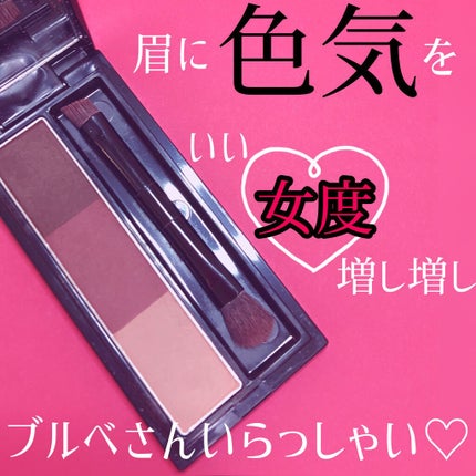 ヴィセ リシェ アイブロウパウダー/Visée/パウダーアイブロウを使ったクチコミ(1枚目)