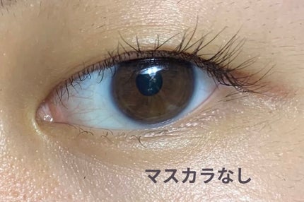 クイックラッシュカーラー/キャンメイク/マスカラ下地を使ったクチコミ(3枚目)