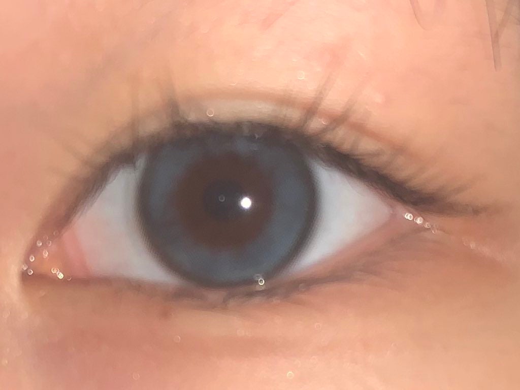 MOLAK 1day/MOLAK/ワンデー(1DAY)カラコンを使ったクチコミ(2枚目)