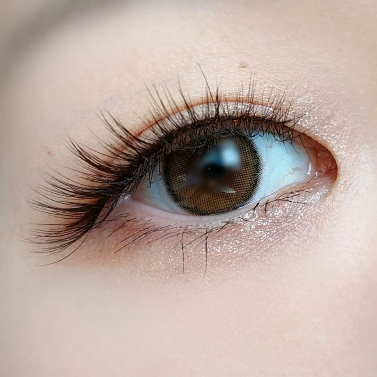 ミッシュブルーミン 3Dアイラッシュライン No.12 スウィートブラウン/ミッシュブルーミン/つけまつげを使ったクチコミ（3枚目）