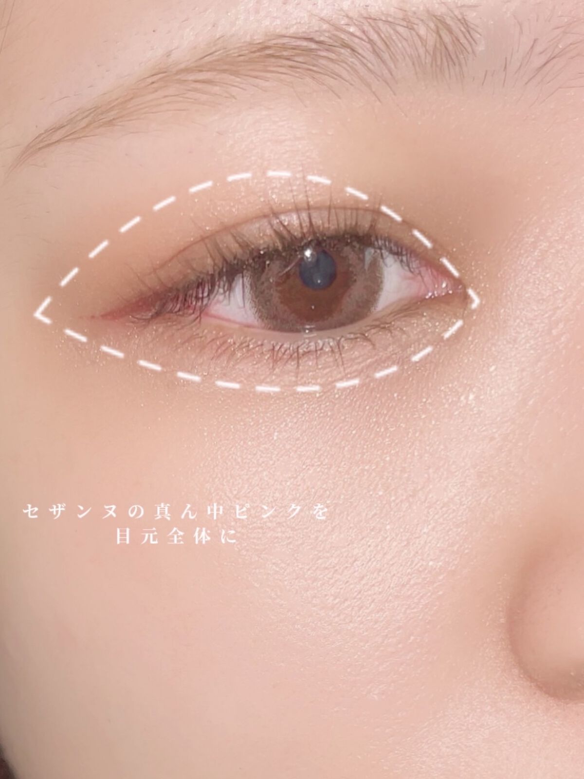 トーンアップアイシャドウ/CEZANNE/アイシャドウパレットを使ったクチコミ（3枚目）