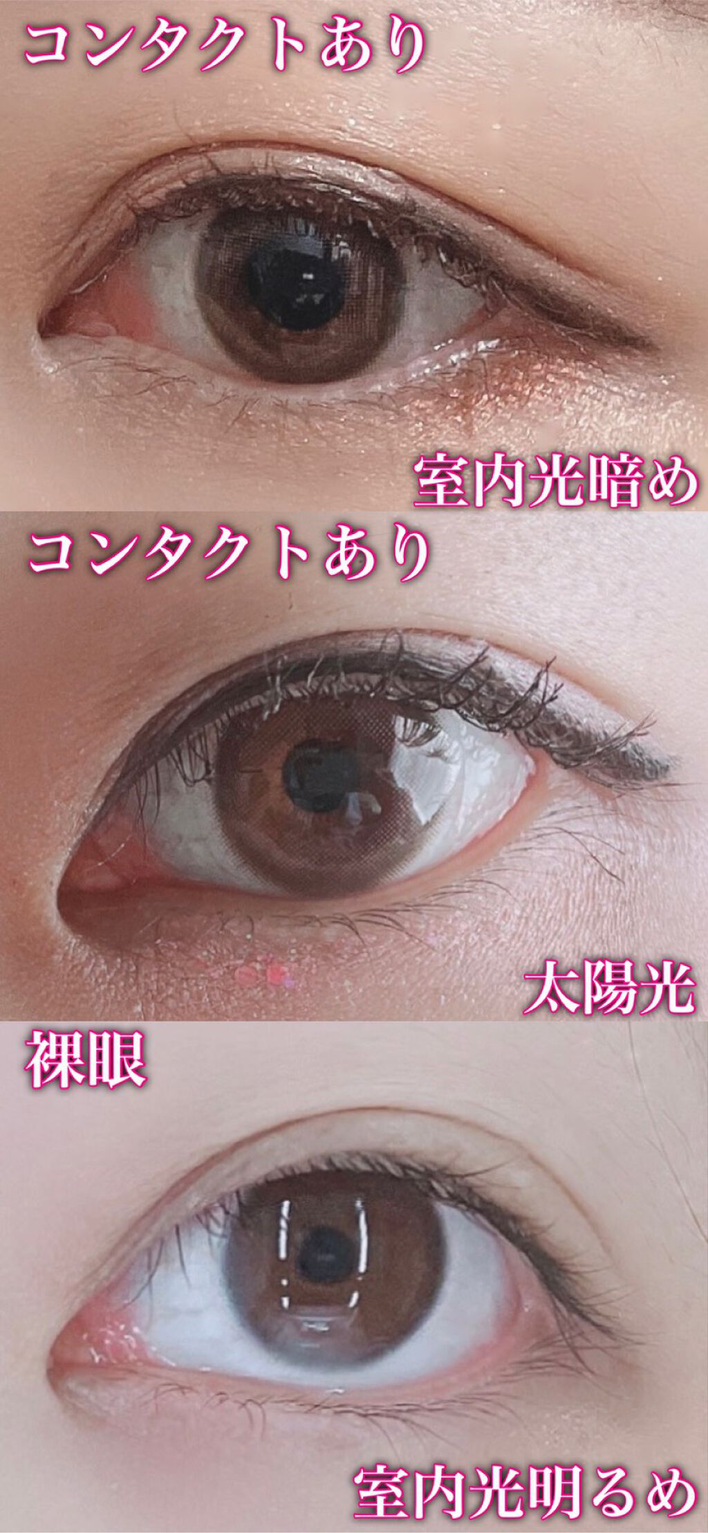 エバーカラーワンデー モイストレーベル/エバーカラー/ワンデー（１DAY）カラコンを使ったクチコミ（3枚目）