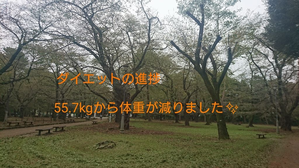 Sandy 샌디 on LIPS 「こんばんは、Sandyです✨今回の投稿もダイエットの進捗です。..」(1枚目)