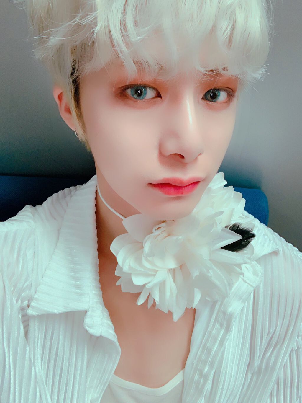 PRELUDEクロマ/Lime Crime(海外)/アイシャドウパレットを使ったクチコミ(5枚目)