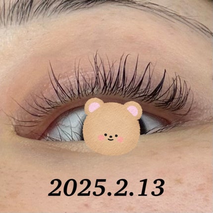 EMAKED(エマーキット)/水橋保寿堂製薬/まつげ美容液を使ったクチコミ(8枚目)