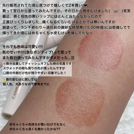 ジューシーリップティント/キャンメイク/口紅を使ったクチコミ(5枚目)