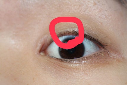 スカルプD ボーテ ピュアフリーアイラッシュセラム/アンファー(スカルプD)/まつげ美容液を使ったクチコミ(2枚目)