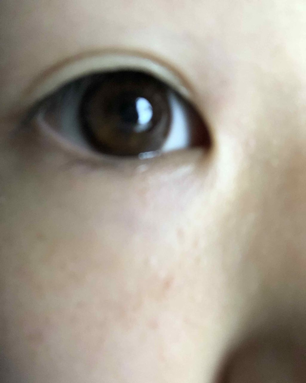 LuMia 1day スウィートブラウンプラス/LuMia/ワンデー（１DAY）カラコンを使ったクチコミ（2枚目）