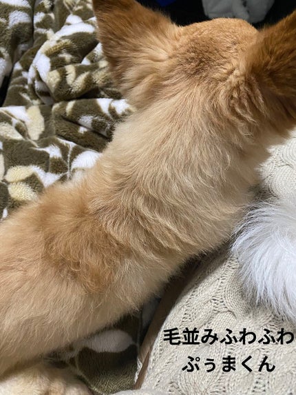 クリーム カラー フォー アイズ/TOM FORD BEAUTY/ジェル・クリームアイシャドウを使ったクチコミ(4枚目)