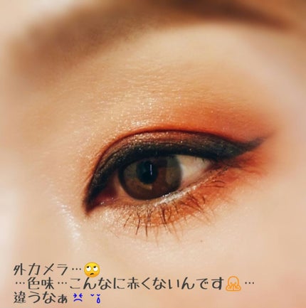 エクストリームエフェクト アイシャドーパレット/NARS/アイシャドウパレットを使ったクチコミ(4枚目)