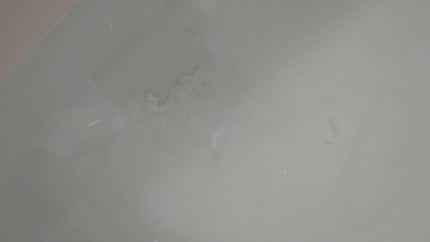 ワフードメイド 酒粕の湯/pdc/生薬系入浴剤を使ったクチコミ(2枚目)