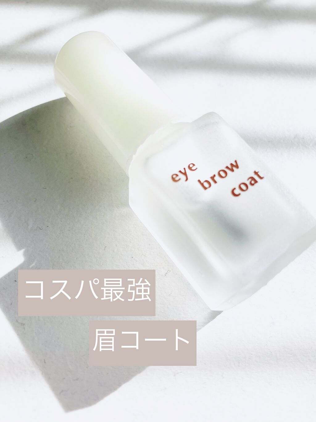 エバビレーナ アイブローコート/DAISO/アイブロウコートを使ったクチコミ（1枚目）