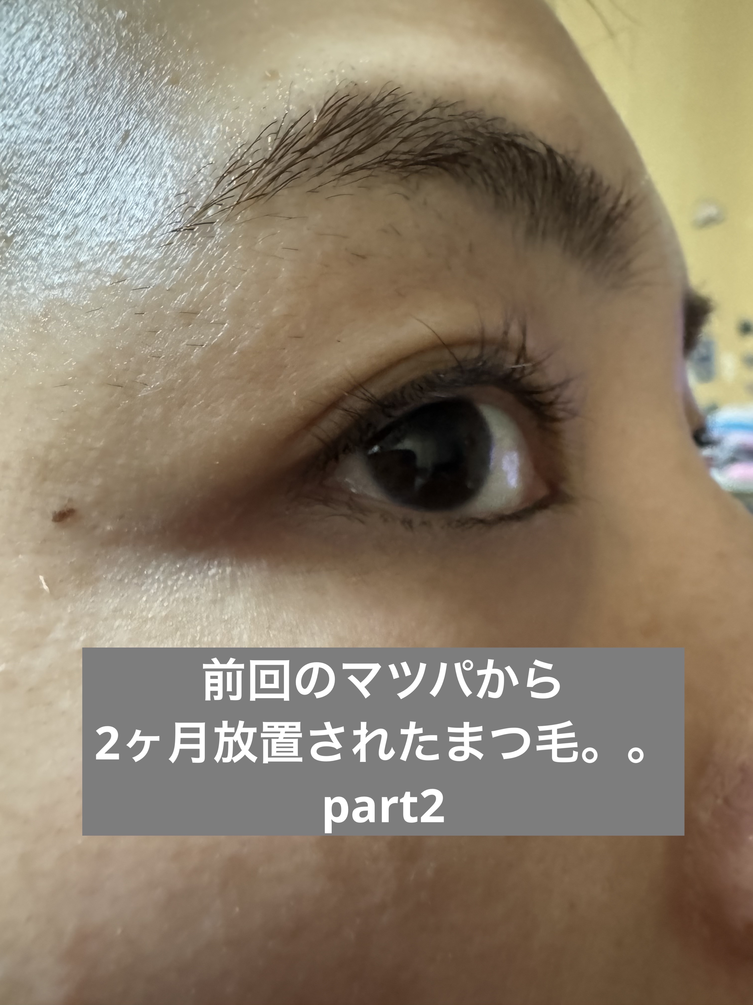 まつ毛パーマキット/LEPOREM/その他キットセットを使ったクチコミ（3枚目）