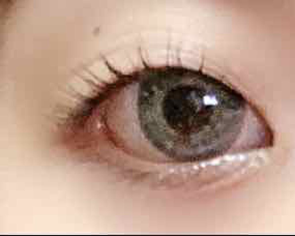 EMAKED(エマーキット)/水橋保寿堂製薬/まつげ美容液を使ったクチコミ(4枚目)