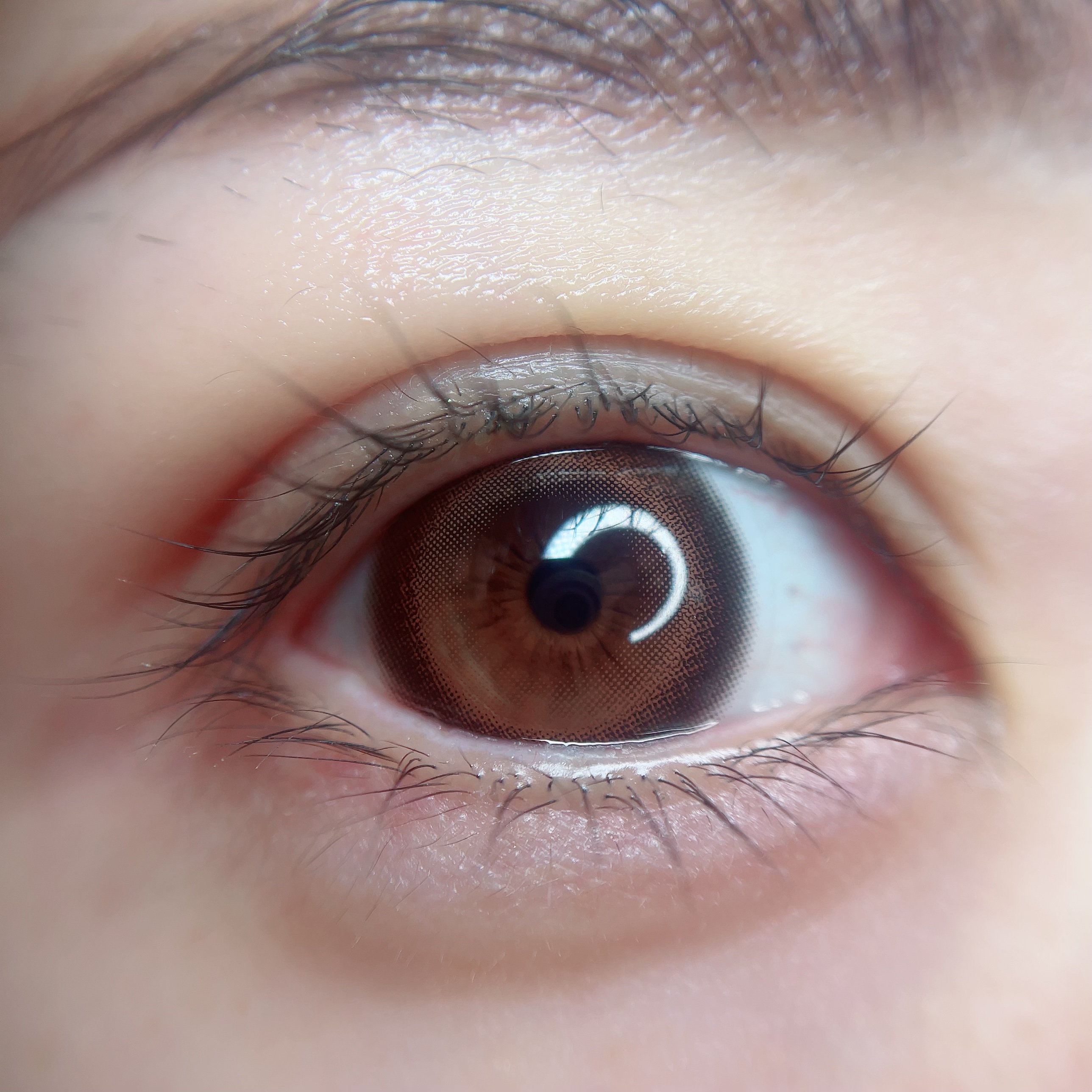 PRIMORE 1day/PRIMORE/カラーコンタクトレンズを使ったクチコミ（2枚目）