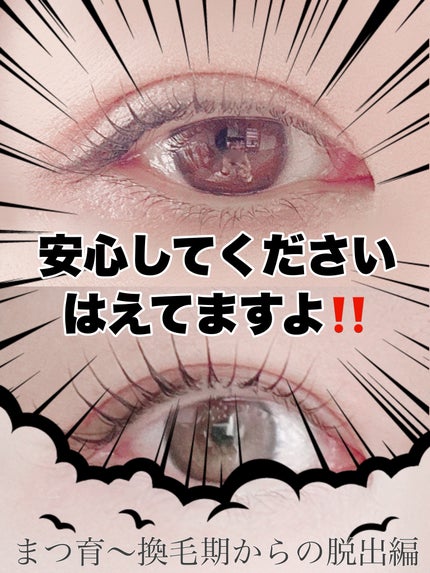 EMAKED(エマーキット)/水橋保寿堂製薬/まつげ美容液を使ったクチコミ(1枚目)