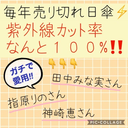 サンバリア100/サンバリア100/日傘を使ったクチコミ(2枚目)