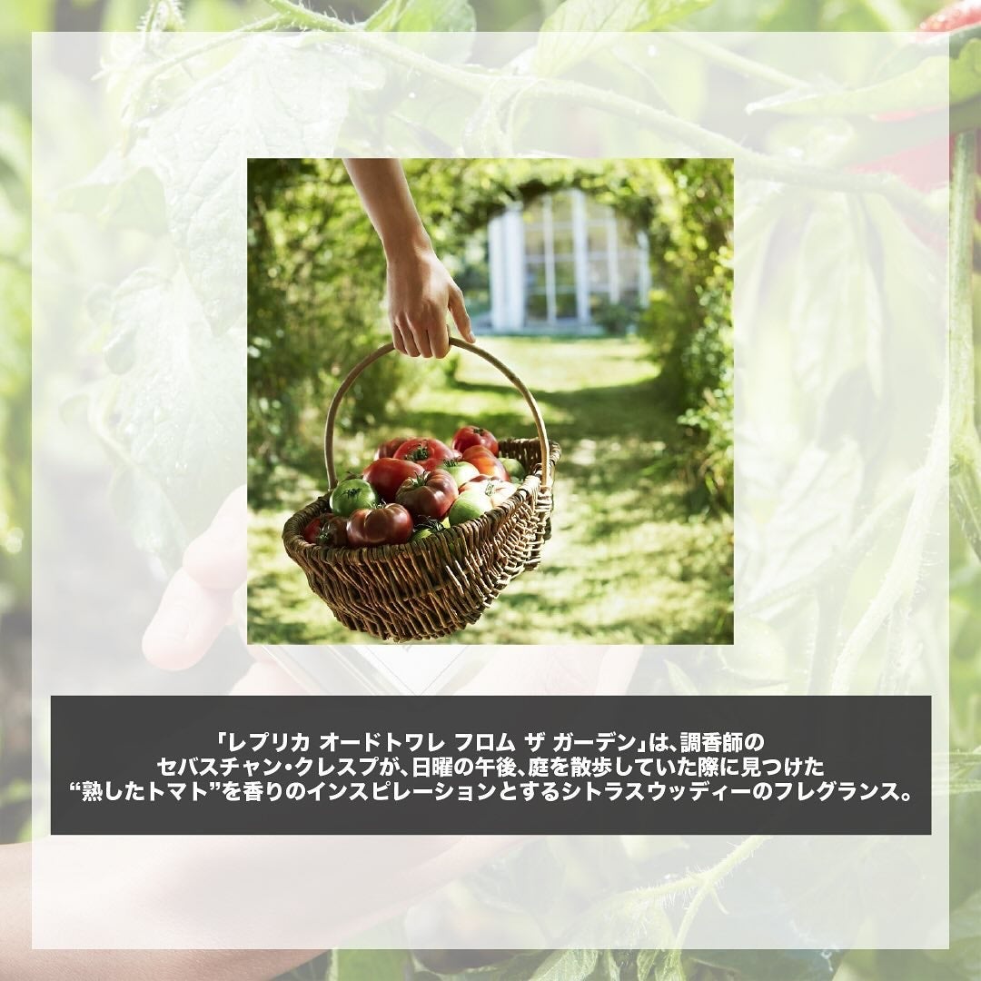 エスログ┊1日1分のモテ香水紹介 on LIPS 「.『神トマト新作香水』🌳製品情報🌳MaisonMargiela..」(2枚目)