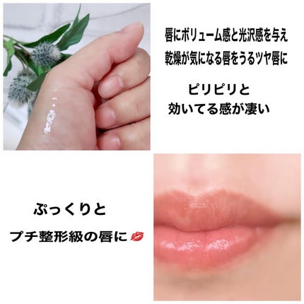 リードルS リッププランパーエキスパート/VT/リッププランパーを使ったクチコミ(3枚目)