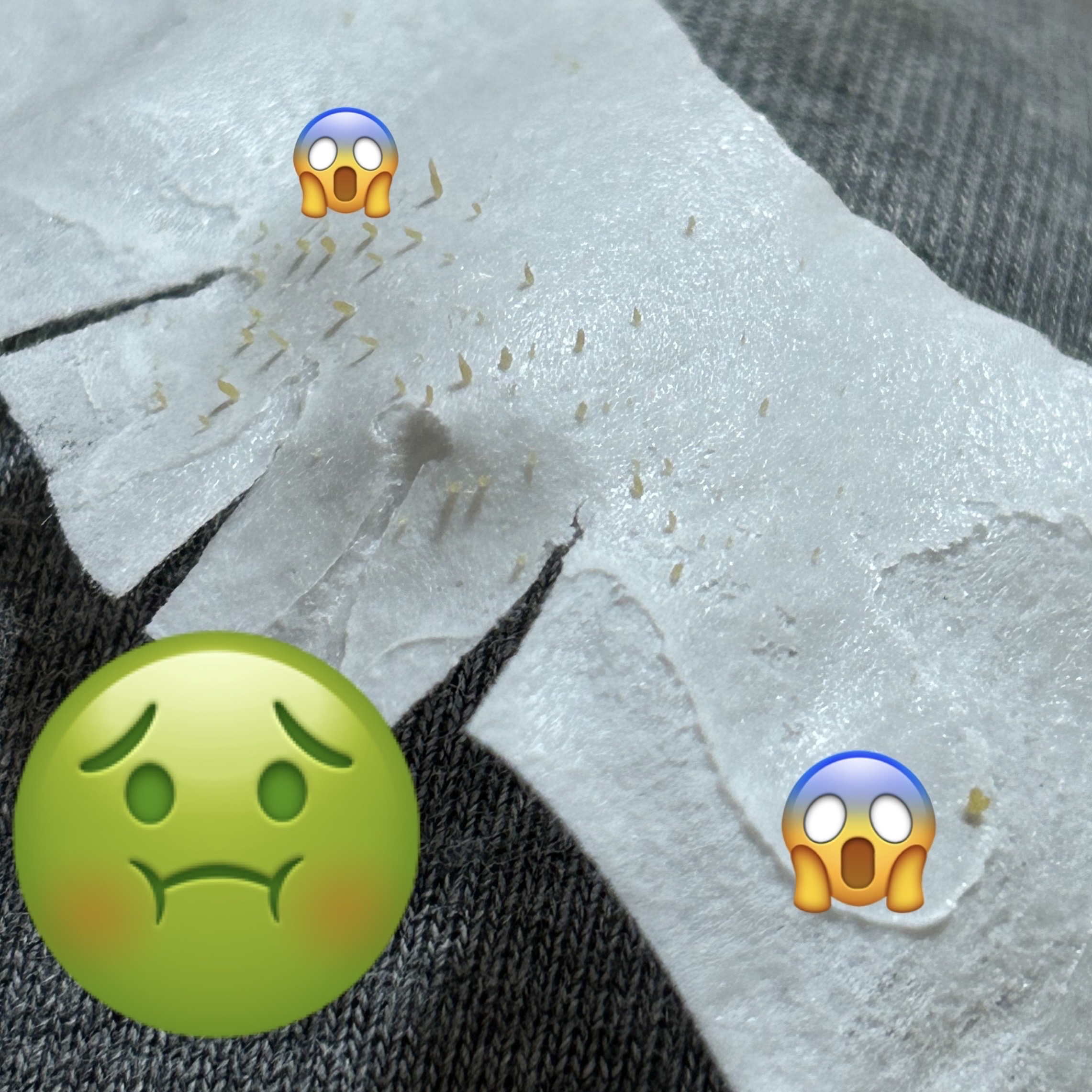 毛穴すっきりパック 鼻用 白色タイプ/ビオレ/その他スキンケアを使ったクチコミ（2枚目）