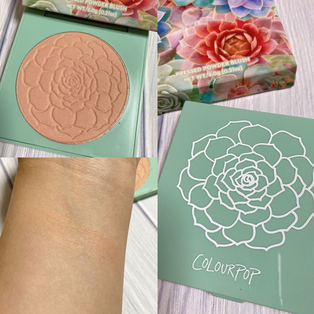 Going Coconuts Bronzed Eyeshadow Palette/ColourPop/アイシャドウパレットを使ったクチコミ(2枚目)