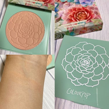 Going Coconuts Bronzed Eyeshadow Palette/ColourPop/パウダーアイシャドウを使ったクチコミ（2枚目）