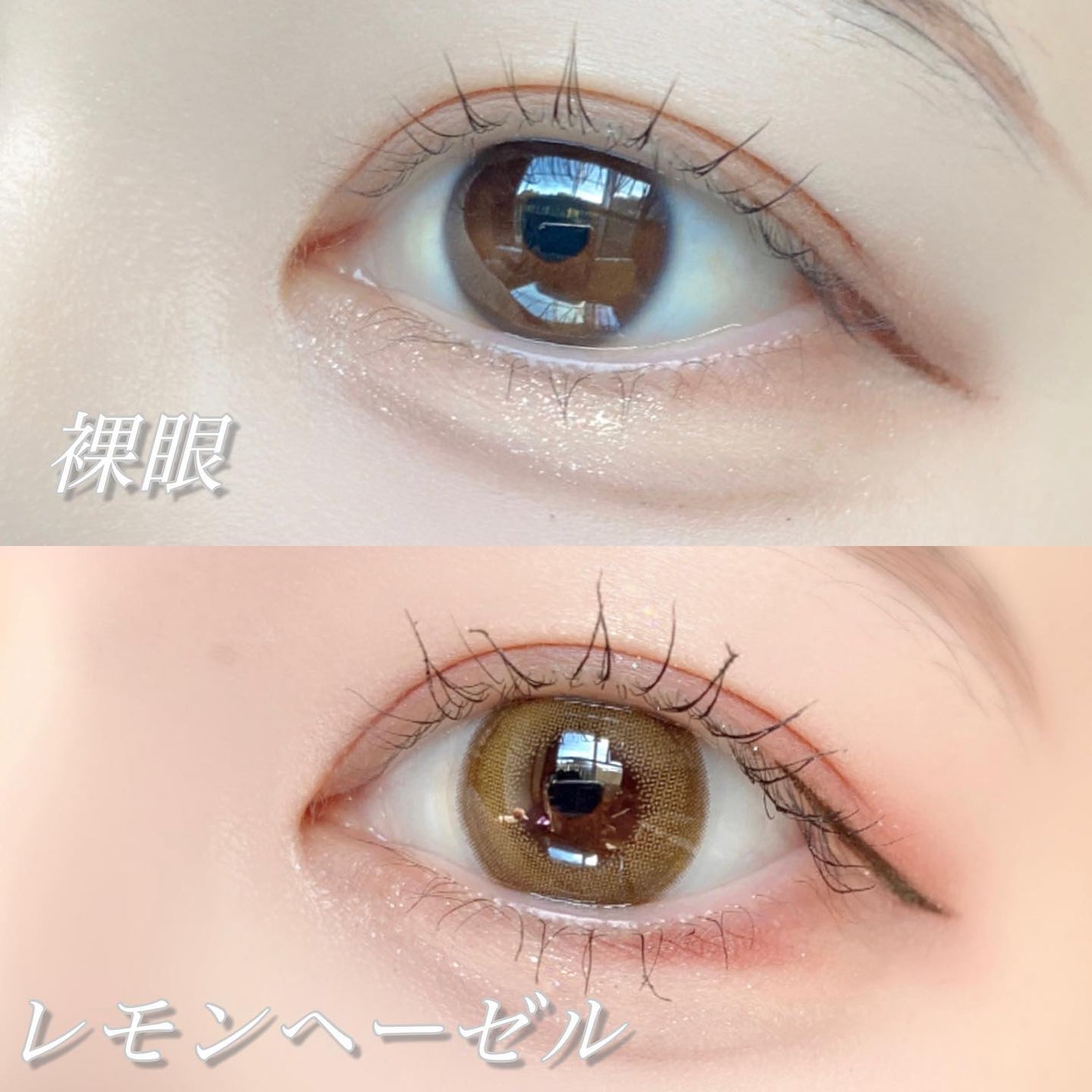 Angelcolor Bambi Series 1day /AngelColor/ワンデー(1DAY)カラコンを使ったクチコミ(4枚目)