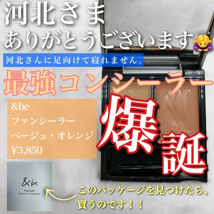 &be ファンシーラー/&be/パレットコンシーラーを使ったクチコミ(1枚目)
