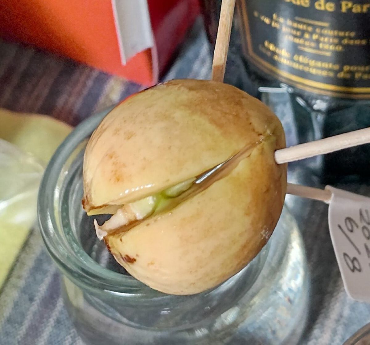 ガラス花瓶/DAISO/その他を使ったクチコミ（2枚目）