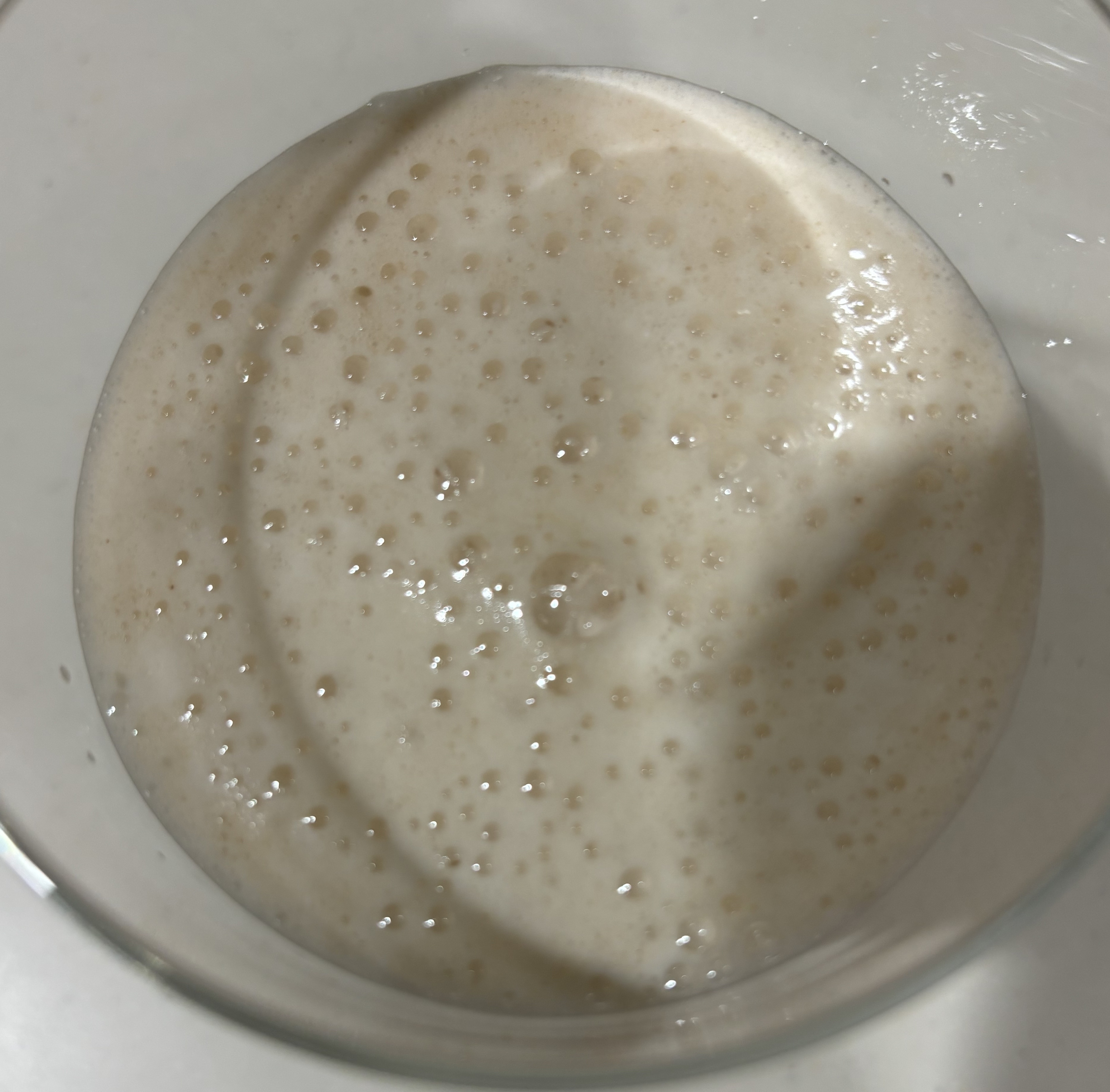 コンブチャ/ダムト/ドリンクを使ったクチコミ（3枚目）