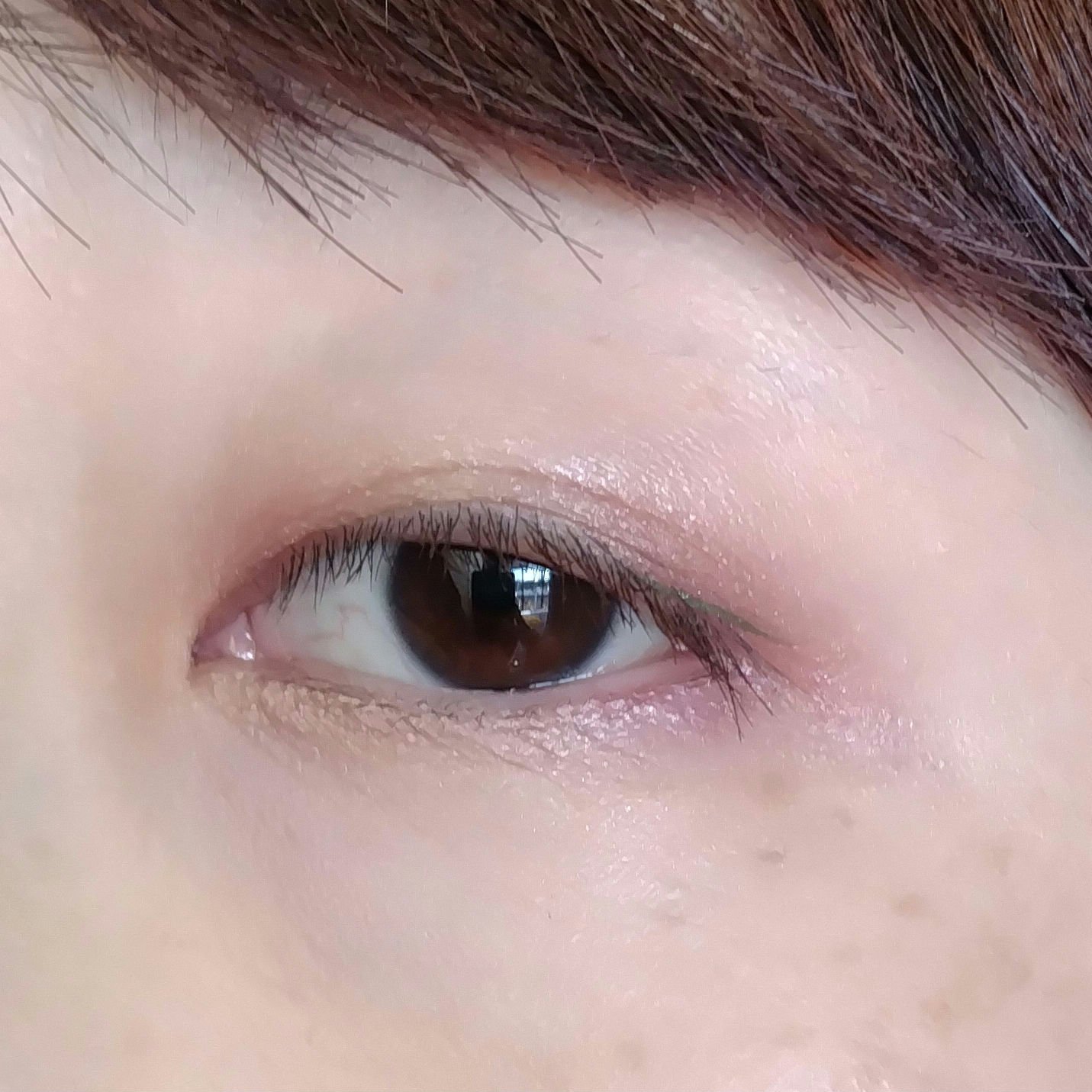 ツイン カラー アイシャドウ 50 レッド系/ちふれ/アイシャドウパレットを使ったクチコミ（1枚目）