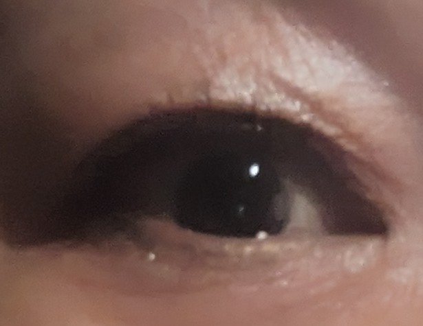 ラッシュエキスパンダー ロングロングロング/マジョリカ マジョルカ/マスカラを使ったクチコミ（2枚目）