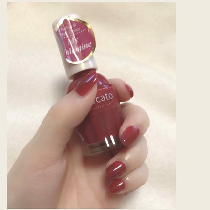 ナチュラルネイルカラーN/デュカート/マニキュアを使ったクチコミ(2枚目)