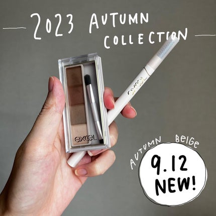 カラーエディットパウダーブロウ/excel/パウダーアイブロウを使ったクチコミ(1枚目)