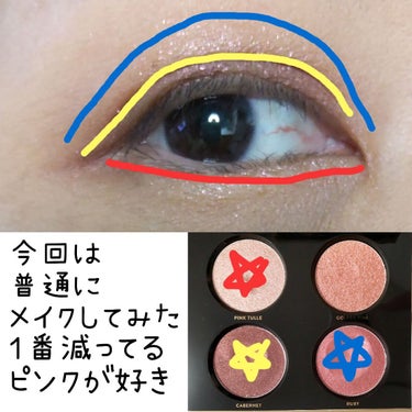 リュクス アンコール アイシャドウ パレット バーガンディー/BOBBI BROWN/パウダーアイシャドウを使ったクチコミ（3枚目）