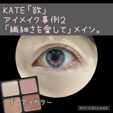 ザ アイカラー Ｍ110（Web限定）/KATE/シングルアイシャドウを使ったクチコミ（1枚目）